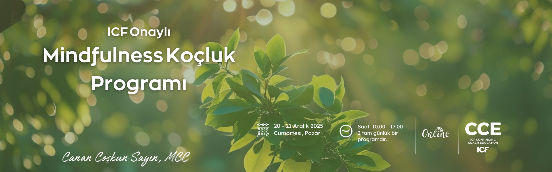 Mindfulness Koçluk